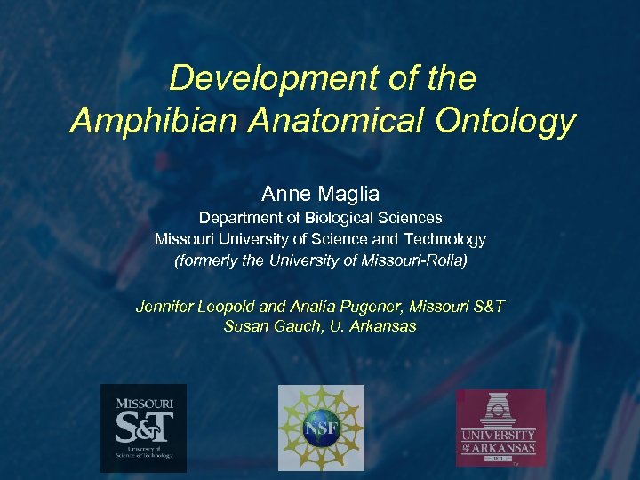 Development of the Amphibian Anatomical Ontology Anne Maglia Department of Biological Sciences Missouri University