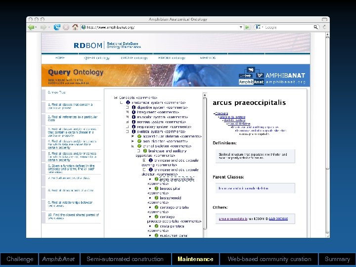 Challenge Amphib. Anat Semi-automated construction Maintenance Web-based community curation Summary 
