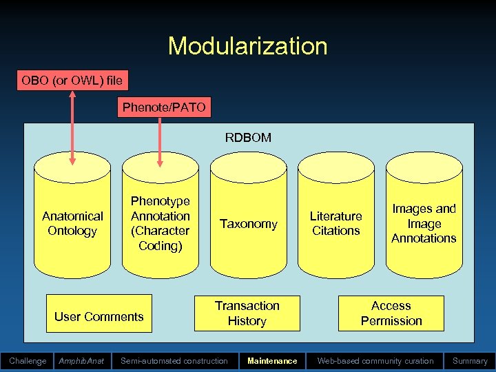 Modularization OBO (or OWL) file Phenote/PATO RDBOM Anatomical Ontology Phenotype Annotation (Character Coding) User