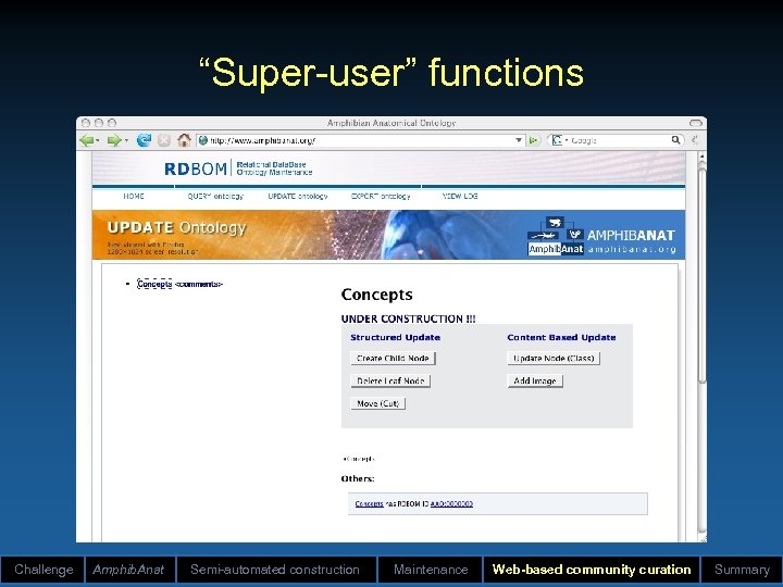 “Super-user” functions Challenge Amphib. Anat Semi-automated construction Maintenance Web-based community curation Summary 