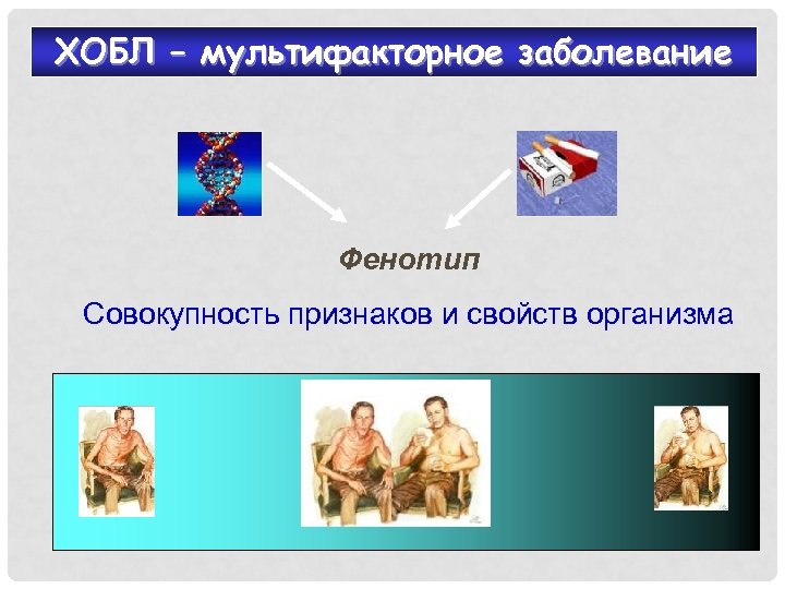 ХОБЛ – мультифакторное заболевание Фенотип Совокупность признаков и свойств организма 