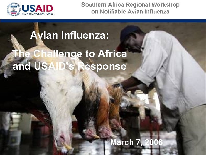 Southern Africa Regional on Notifiable Avian Influenza