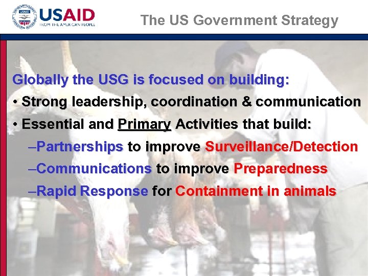 The US Government Strategy Globally the USG is focused on building: • Strong leadership,