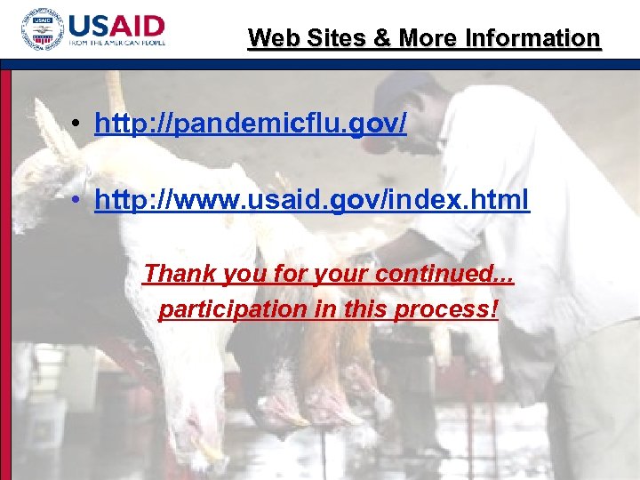 Web Sites & More Information • http: //pandemicflu. gov/ • http: //www. usaid. gov/index.