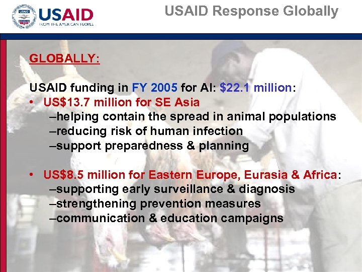 USAID Response Globally GLOBALLY: USAID funding in FY 2005 for AI: $22. 1 million: