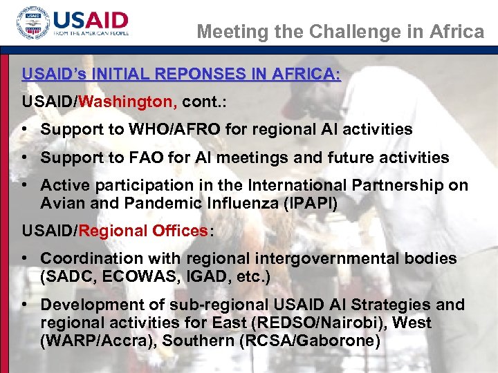 Meeting the Challenge in Africa USAID’s INITIAL REPONSES IN AFRICA: USAID/Washington, cont. : •