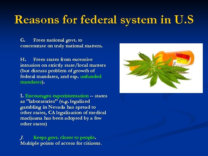 Reasons for federal system in U. S G. Frees national govt. to concentrate on