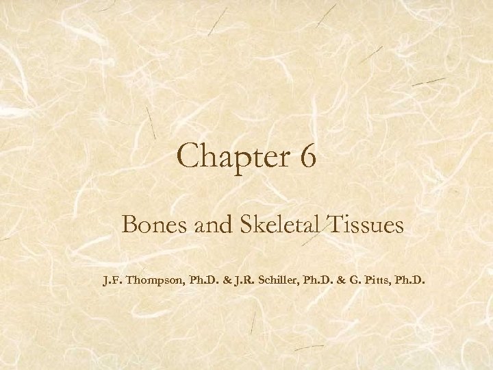 Chapter 6 Bones and Skeletal Tissues J. F. Thompson, Ph. D. & J. R.
