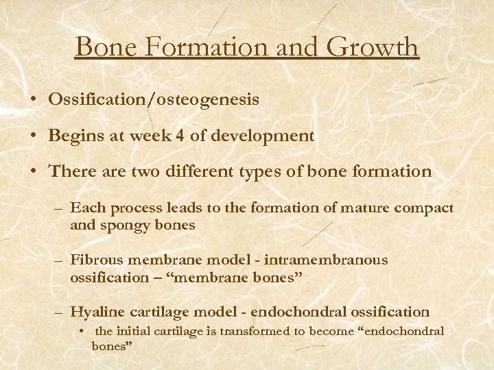 Bone Formation and Growth • Ossification/osteogenesis • Begins at week 4 of development •
