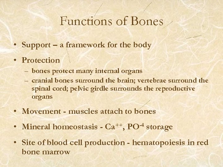 Functions of Bones • Support – a framework for the body • Protection –