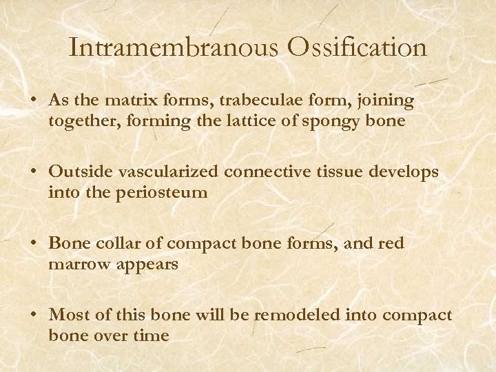 Intramembranous Ossification • As the matrix forms, trabeculae form, joining together, forming the lattice