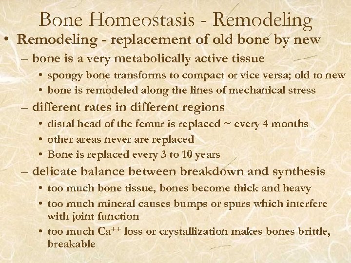 Bone Homeostasis - Remodeling • Remodeling - replacement of old bone by new –