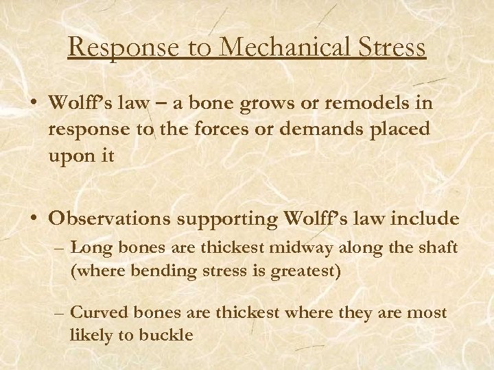 Response to Mechanical Stress • Wolff’s law – a bone grows or remodels in