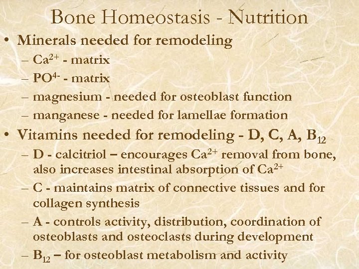 Bone Homeostasis - Nutrition • Minerals needed for remodeling – Ca 2+ - matrix