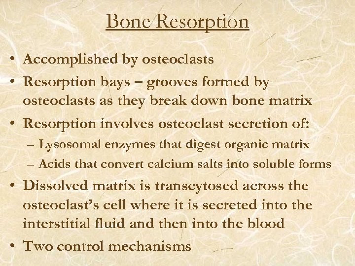 Bone Resorption • Accomplished by osteoclasts • Resorption bays – grooves formed by osteoclasts