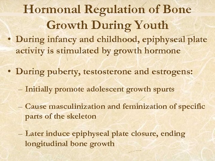 Hormonal Regulation of Bone Growth During Youth • During infancy and childhood, epiphyseal plate