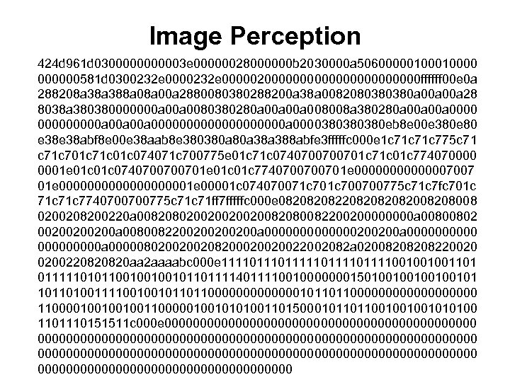 Image Perception 424 d 961 d 03000003 e 00000028000000 b 2030000 a 506000001000000581 d
