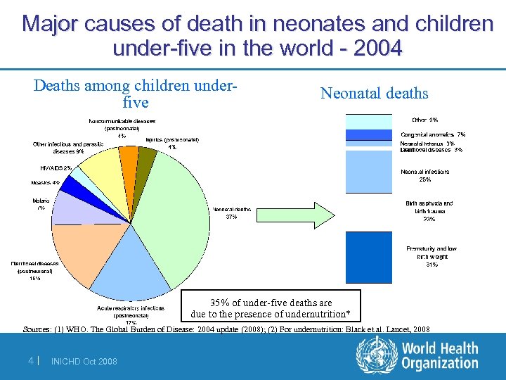 Major causes of death in neonates and children under-five in the world - 2004