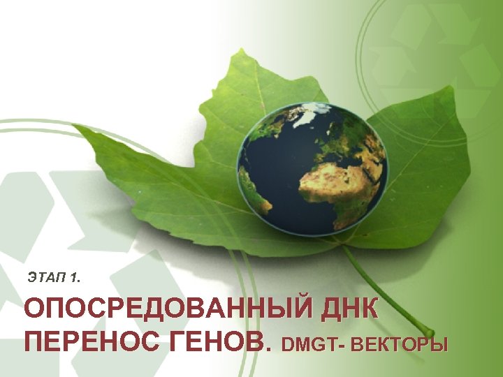 ЭТАП 1. ОПОСРЕДОВАННЫЙ ДНК ПЕРЕНОС ГЕНОВ. DMGT ВЕКТОРЫ 