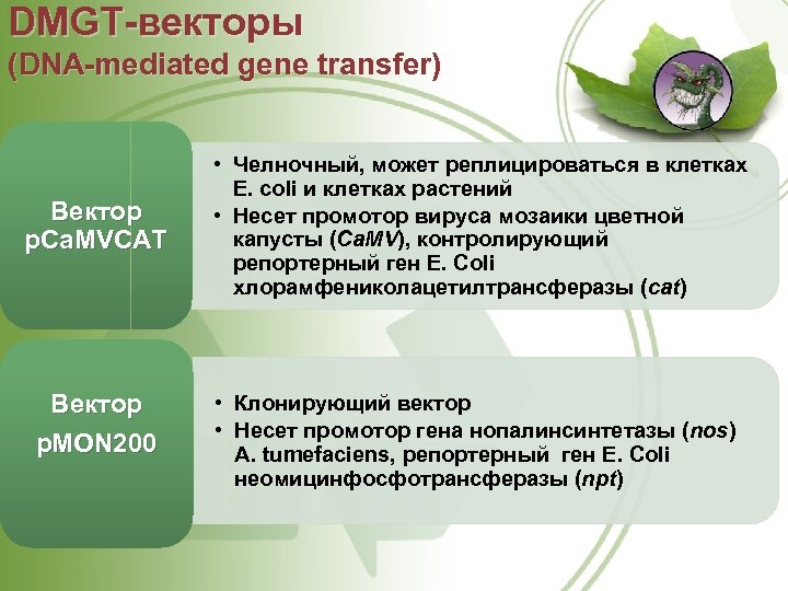 DMGT векторы (DNA mediated gene transfer) Вектор p. Ca. MVCAT Вектор p. MON 200