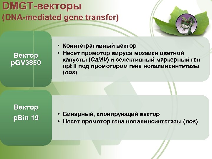 DMGT векторы (DNA mediated gene transfer) Вектор p. GV 3850 Вектор p. Bin 19