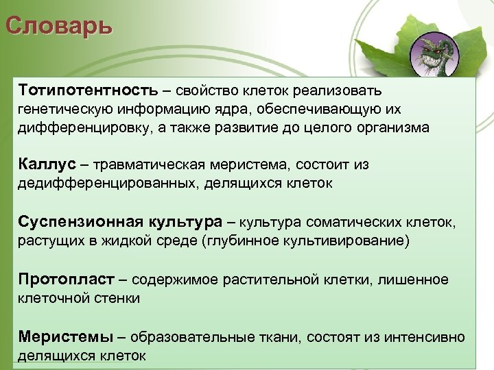 Словарь Тотипотентность – свойство клеток реализовать генетическую информацию ядра, обеспечивающую их дифференцировку, а также
