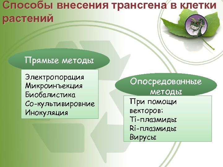 Способы внесения трансгена в клетки растений Прямые методы Электропорация Микроинъекция Биобалистика Со-культивировние Инокуляция Опосредованные
