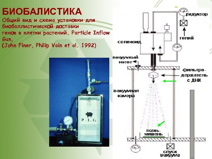 БИОБАЛИСТИКА Общий вид и схема установки для биобаллистической доставки генов в клетки растений. Particle