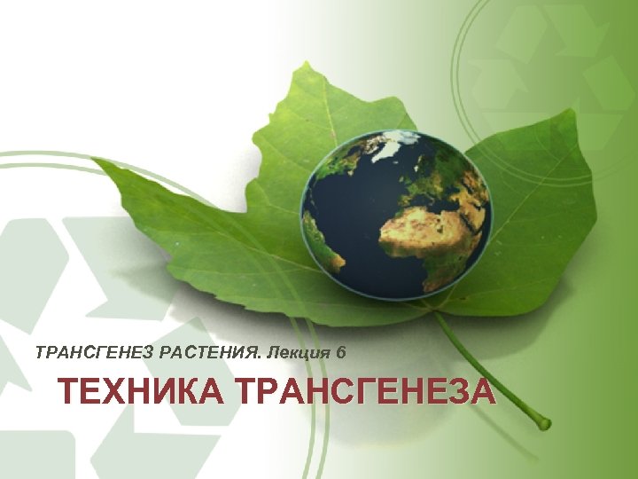 ТРАНСГЕНЕЗ РАСТЕНИЯ. Лекция 6 ТЕХНИКА ТРАНСГЕНЕЗА 