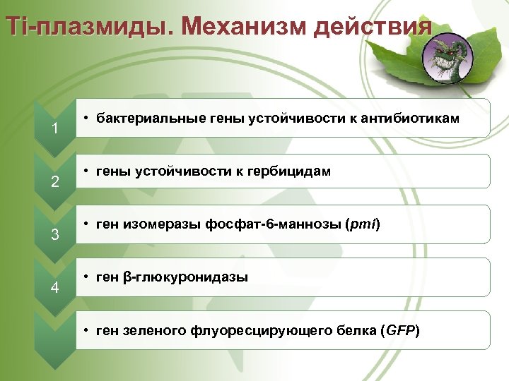 Ti плазмиды. Механизм действия 1 2 3 4 • бактериальные гены устойчивости к антибиотикам