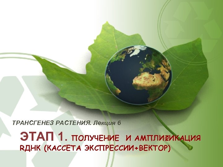 ТРАНСГЕНЕЗ РАСТЕНИЯ. Лекция 6 ЭТАП 1. ПОЛУЧЕНИЕ И АМПЛИФИКАЦИЯ RДНК (КАССЕТА ЭКСПРЕССИИ+ВЕКТОР) 