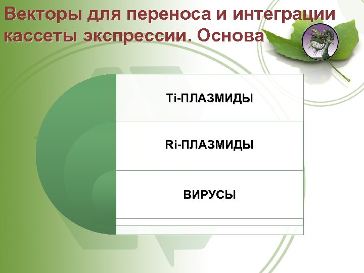 Векторы для переноса и интеграции кассеты экспрессии. Основа Ti ПЛАЗМИДЫ Ri ПЛАЗМИДЫ ВИРУСЫ 