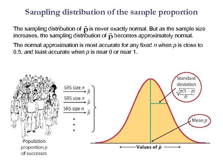 Sampling distribution of the sample proportion The sampling distribution of is never exactly normal.