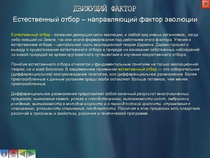 Естественный отбор – направляющий фактор эволюции Естественный отбор - основная движущая сила эволюции, и