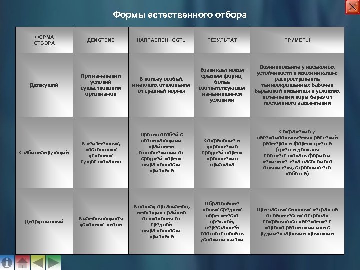Формы естественного отбора ФОРМА ОТБОРА Движущий Стабилизирующий Дизруптивный ДЕЙСТВИЕ НАПРАВЛЕННОСТЬ РЕЗУЛЬТАТ ПРИМЕРЫ При изменении