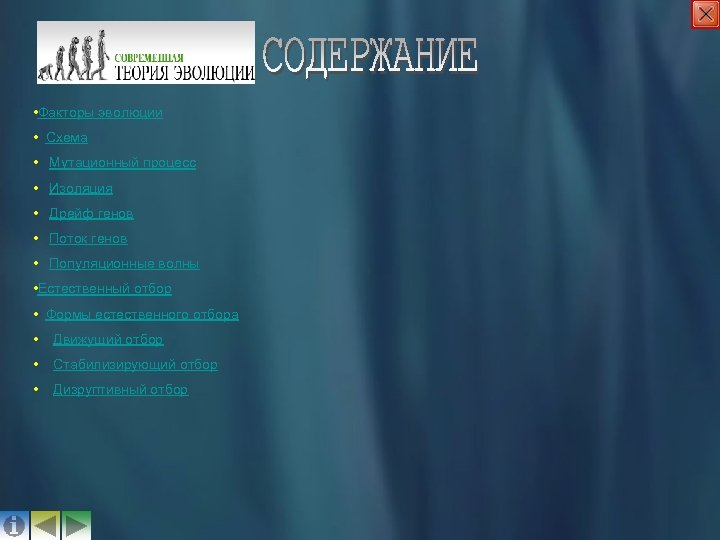  • Факторы эволюции • Схема • Мутационный процесс • Изоляция • Дрейф генов