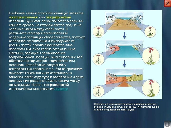 Наиболее частым способом изоляции является пространственная, или географическая, изоляция. Сущность ее заключается в разрыве