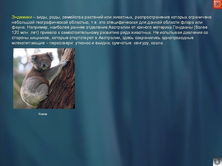 Эндемики – виды, роды, семейства растений или животных, распространение которых ограничено небольшой географической областью,