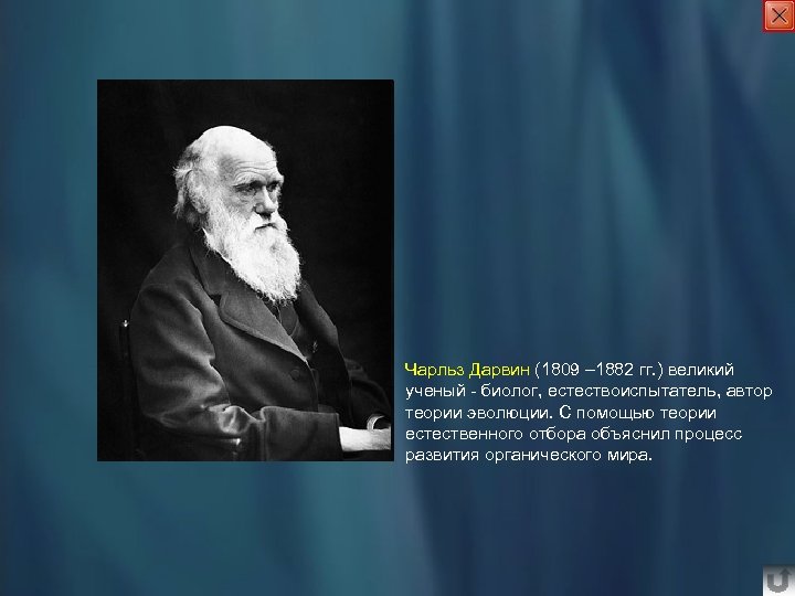 Чарльз Дарвин (1809 – 1882 гг. ) великий ученый - биолог, естествоиспытатель, автор теории