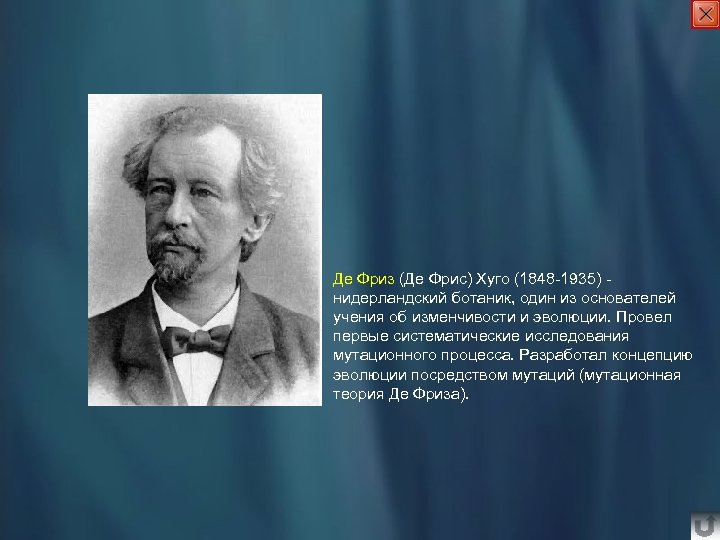 Де Фриз (Де Фрис) Хуго (1848 -1935) нидерландский ботаник, один из основателей учения об