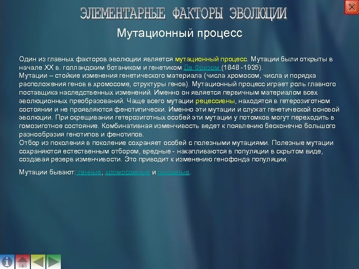 Мутационный процесс Один из главных факторов эволюции является мутационный процесс. Мутации были открыты в