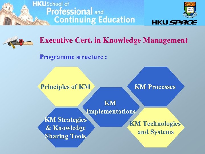 Executive Cert. in Knowledge Management Programme structure : Principles of KM Processes KM Implementations