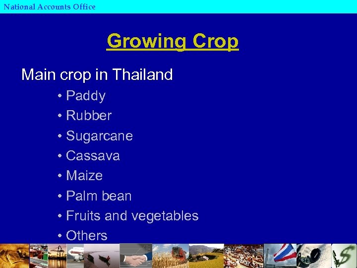 National Accounts Office Growing Crop Main crop in Thailand • Paddy • Rubber •