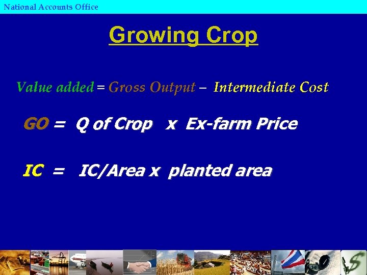 National Accounts Office Growing Crop Value added = Gross Output – Intermediate Cost GO