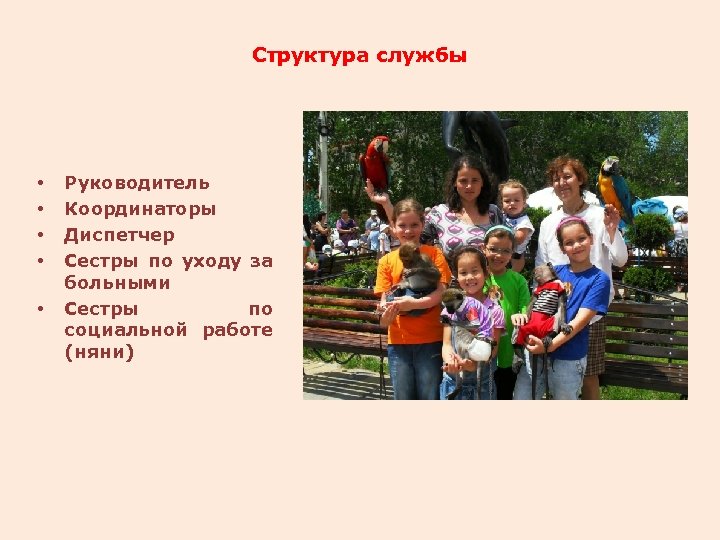 Структура службы • • • Руководитель Координаторы Диспетчер Сестры по уходу за больными Сестры