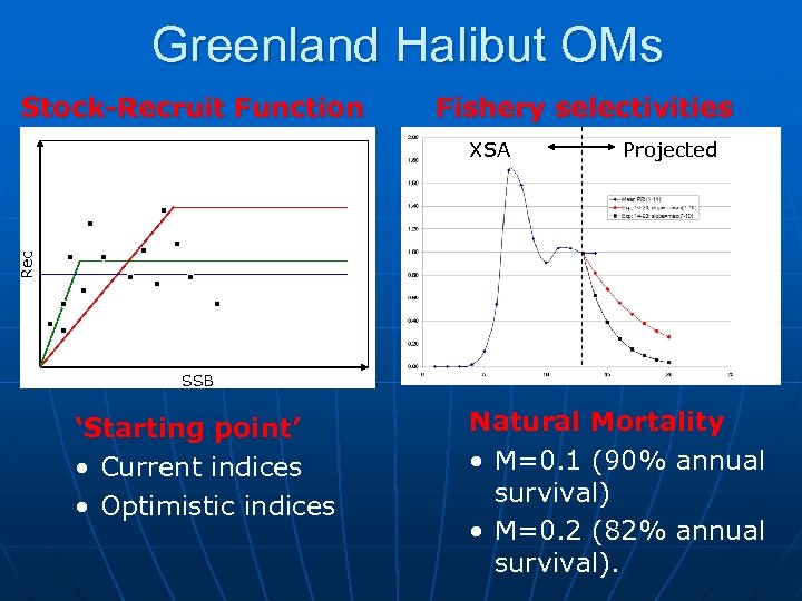 Greenland Halibut OMs Stock-Recruit Function Fishery selectivities Projected Rec XSA SSB ‘Starting point’ •