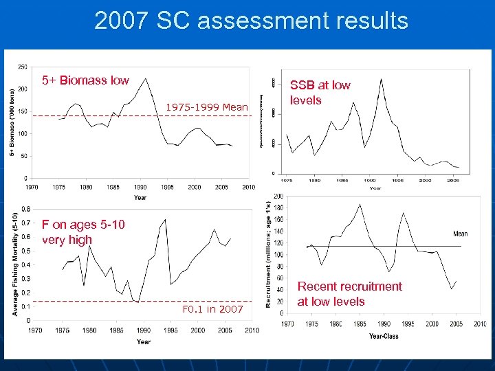 2007 SC assessment results 5+ Biomass low 1975 -1999 Mean SSB at low levels