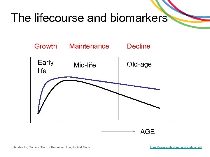 The lifecourse and biomarkers Growth Early life Maintenance Mid-life Decline Old-age AGE Understanding Society: