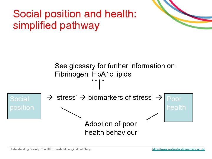 Social position and health: simplified pathway See glossary for further information on: Fibrinogen, Hb.