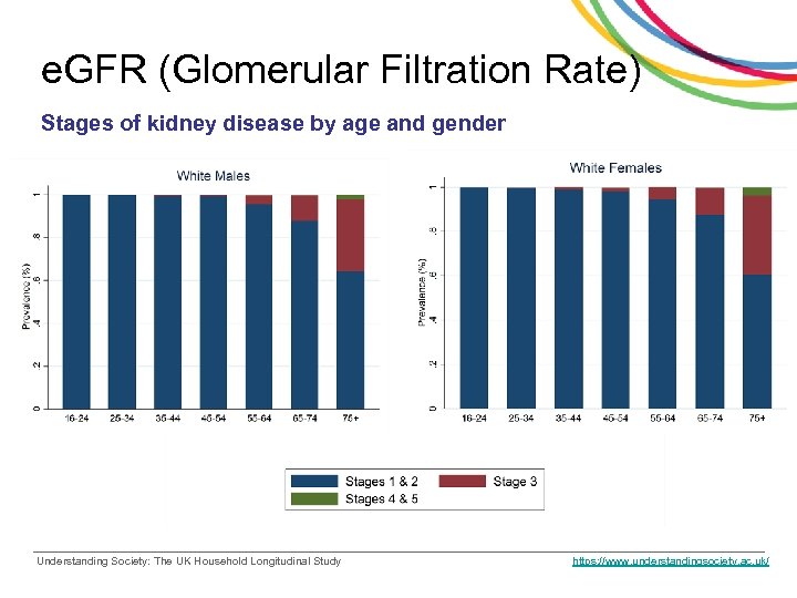 e. GFR (Glomerular Filtration Rate) Stages of kidney disease by age and gender Understanding